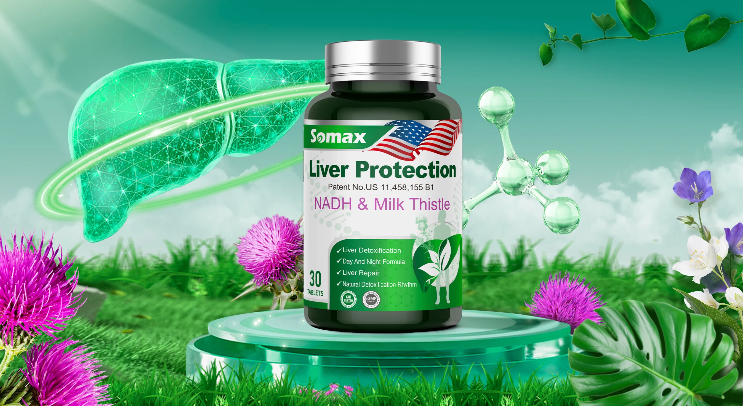 PureNutraHubs产品系列与使用场景